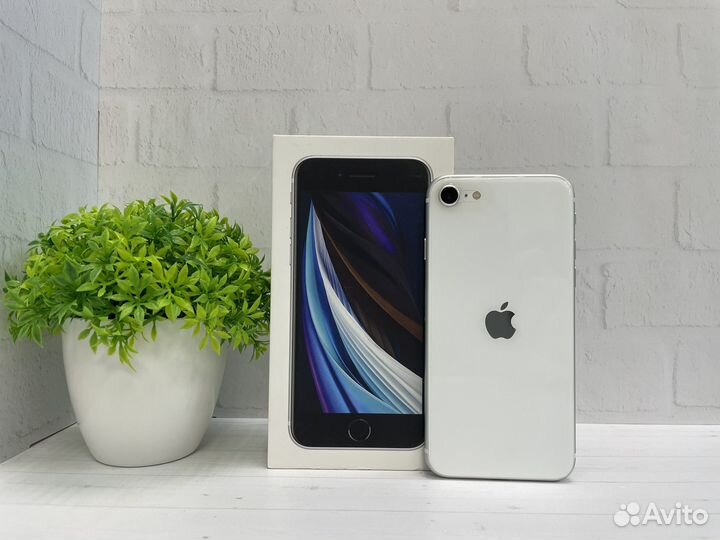iPhone SE (2020), 64 ГБ