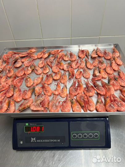 Креветка Северная (Промфлот, 70-90)