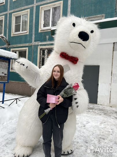 Поздравление от 3м белого медведя аниматор