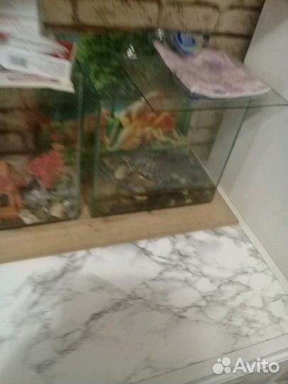 Аквариум