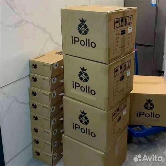 Топ asic ipollo v1 mini 260 mhs