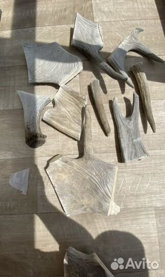 Лакомства для собак