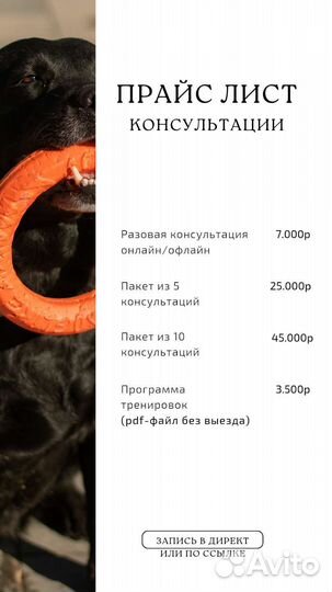 Передержка с дрессировкой, агрессия, страх