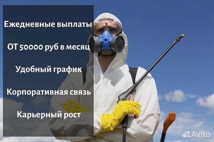 Дезинсектор с ежедневной оплатой