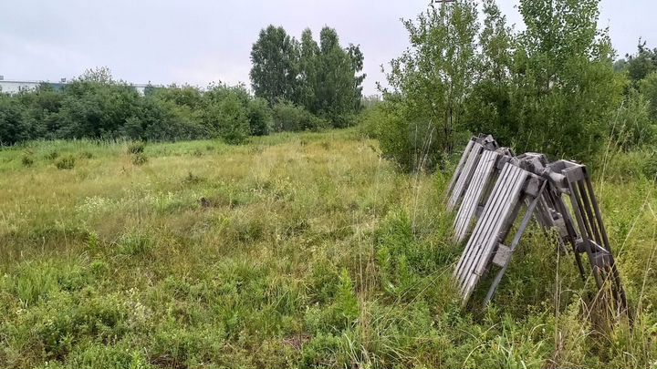 Участок 12 сот. (СНТ, ДНП)