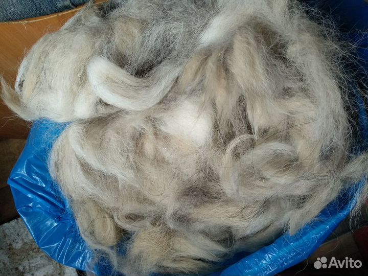 Собачья шерсть продам