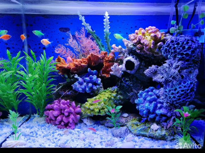 Декор для аквариума