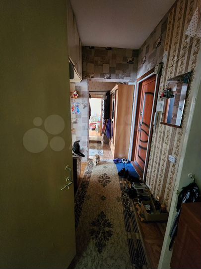 2-к. квартира, 53,6 м², 5/9 эт.