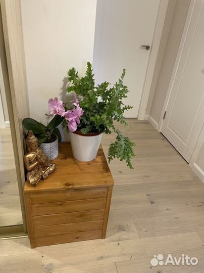 Закрытый кошачий туалет, новый