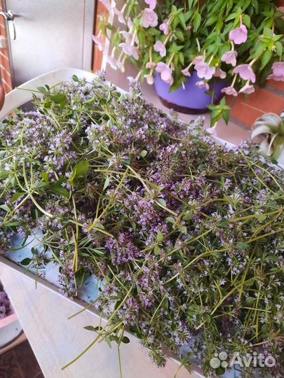 Мята,душица,мелисса,чабрец