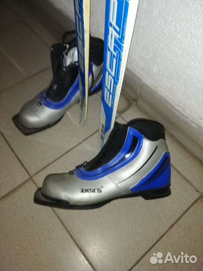 Беговые лыжи