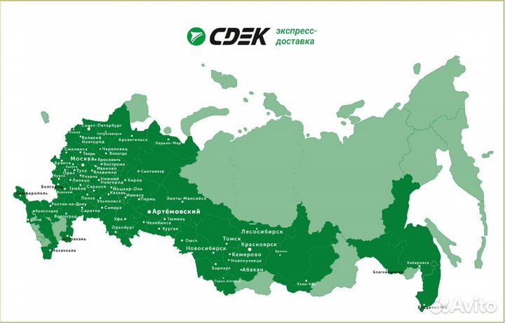 Роза Пинк Флойд чайно-гибридная, саженцы зкс