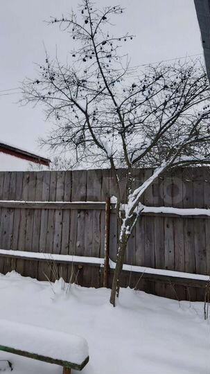 Дача 50 м² на участке 5 сот.