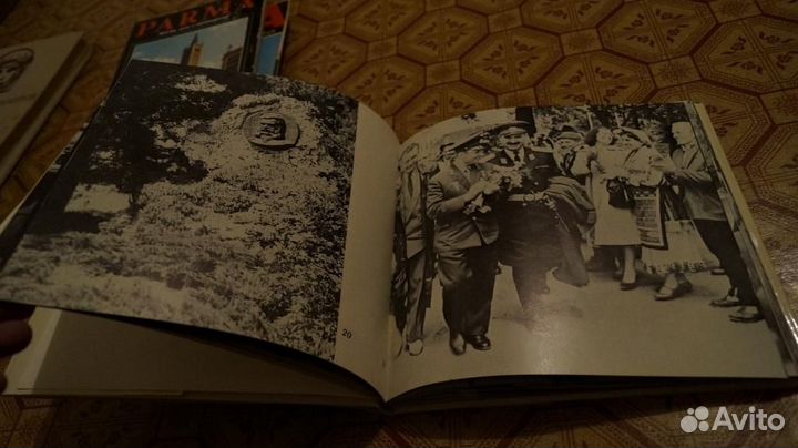 371 Виргиния Топалска. Плевен