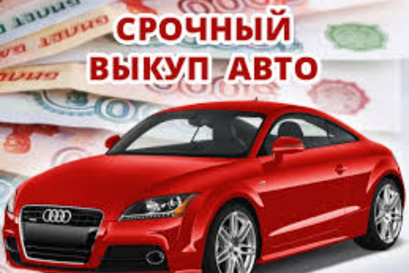 AvtoDom11. Профиль пользователя на Авито