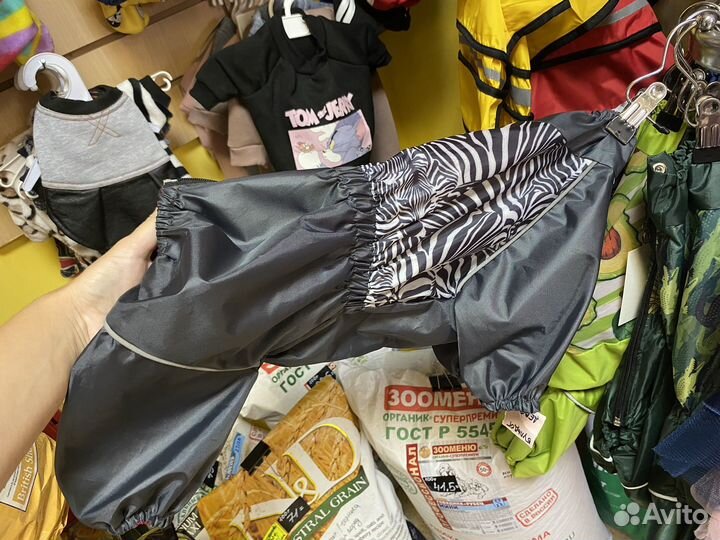 Одежда для собак