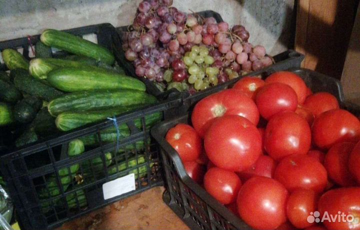 Продукты на корм животным