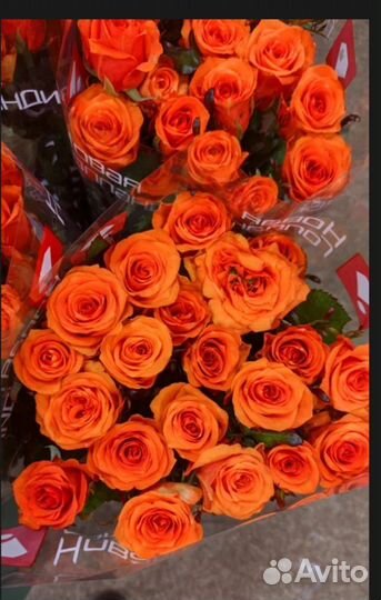 Цветы букеты с доставкой