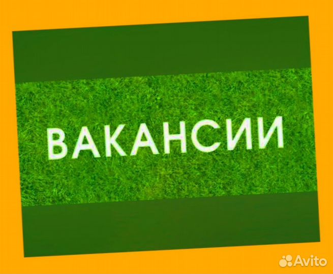 Комплектовщик Работа на складе Еженед.выпл. Еда Сп