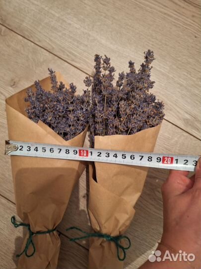 Букетики лаванды 30см