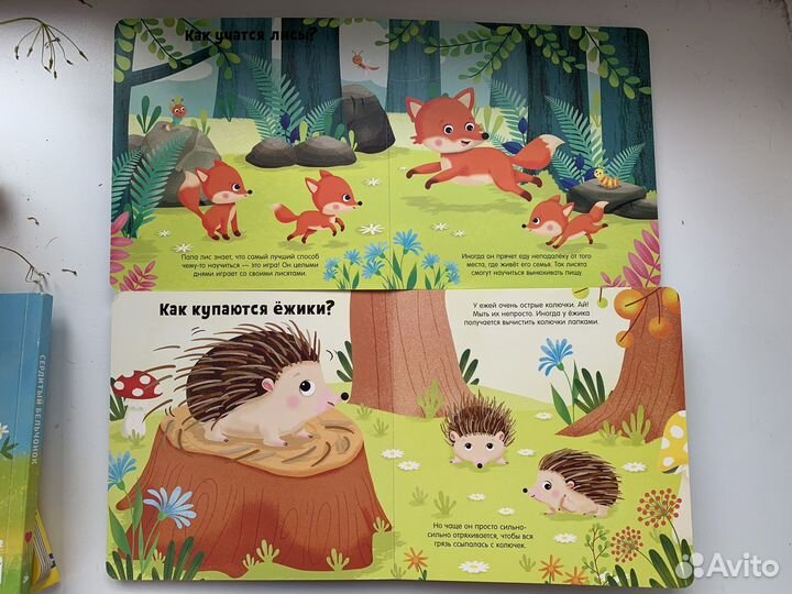 Детские книги Clever