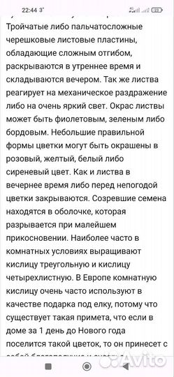 Кислица (оксалис)