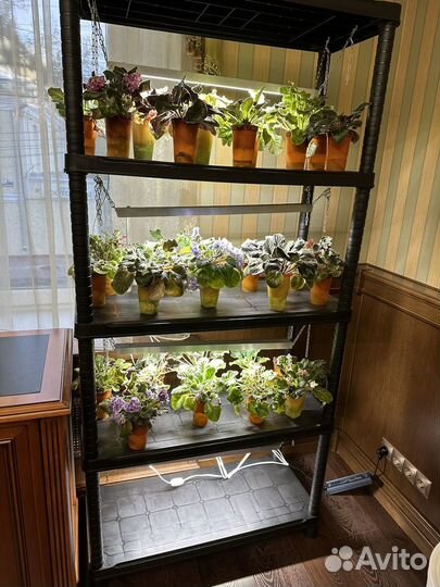 Полки стеллажи для цветов