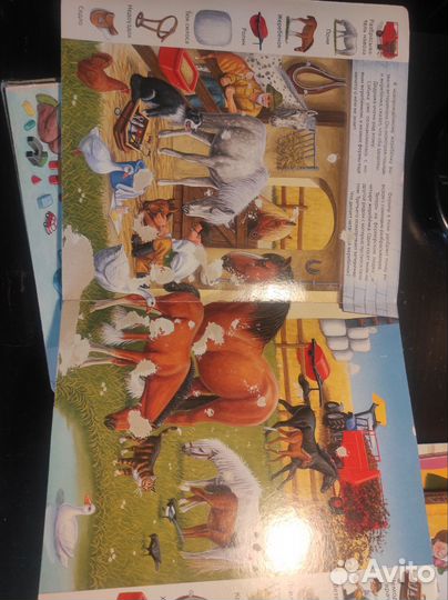 Серия книг найди и покажи