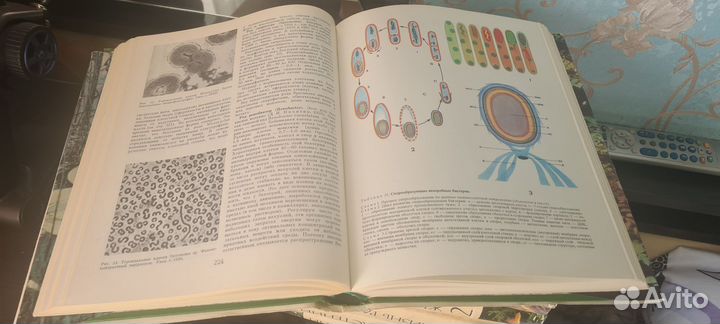 Энциклопедия