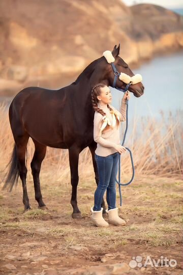 Продается кобыла