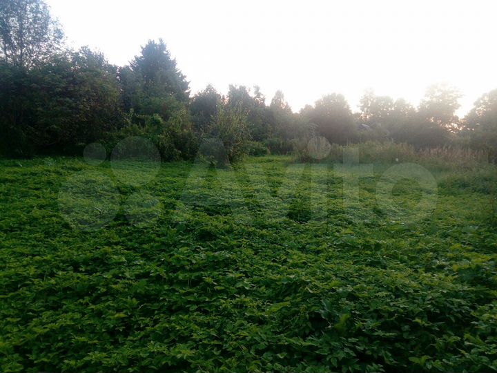 Участок 20 сот. (ИЖС)