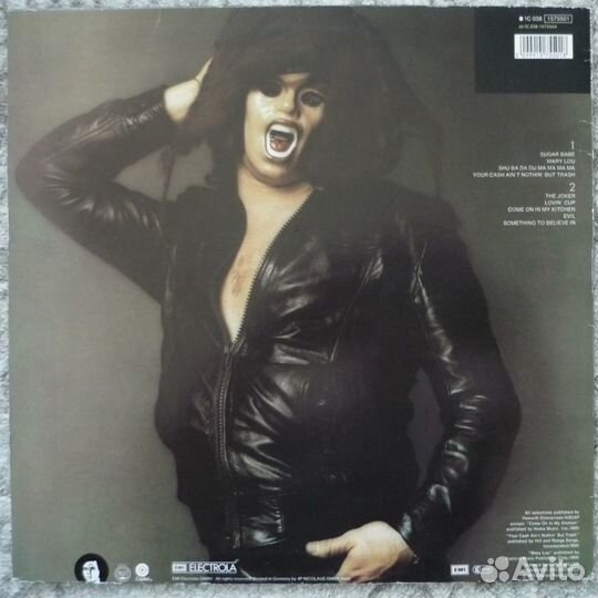 The Steve Miller Band LP германия