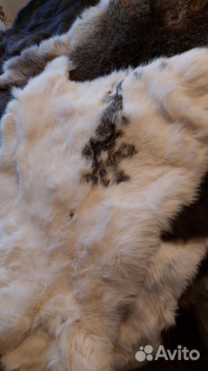 Мех кролика шкурка