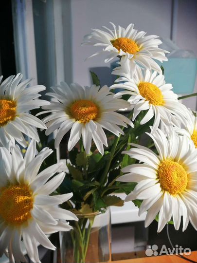 Ромашки из полимерной глины