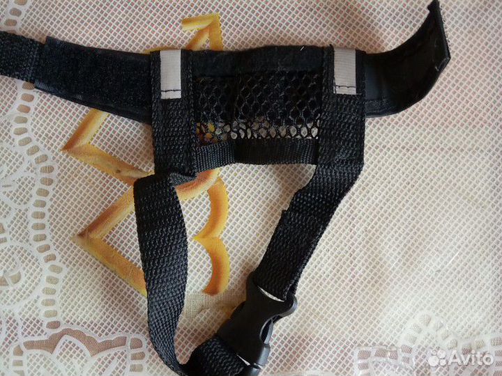 Намордник, расчёски, когтерез и т. Д