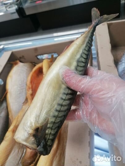 Рыба горячего копчения, холодного копчения