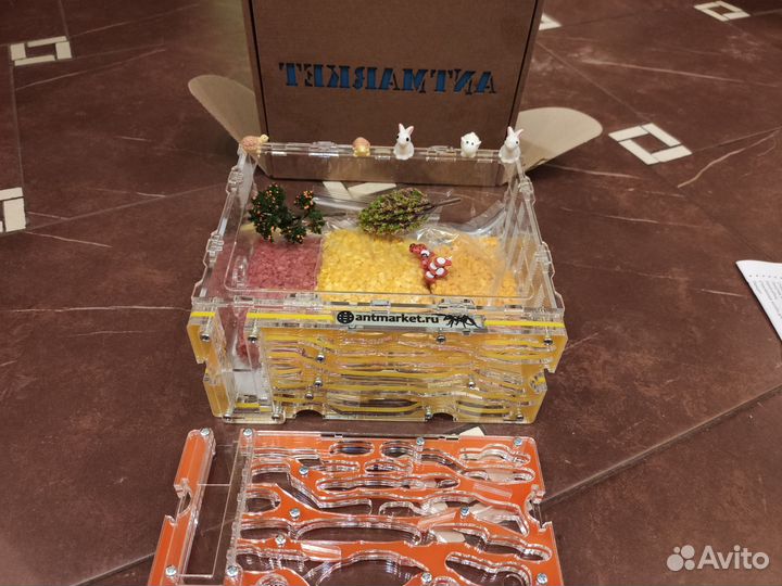 Новый муравейник, комплект