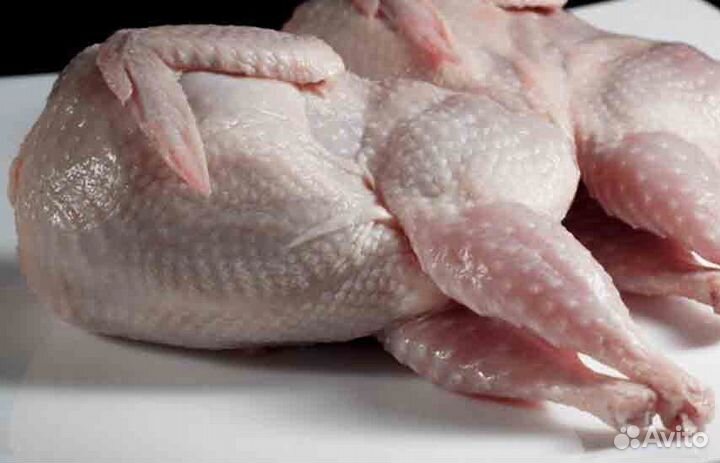 Мясо перепела