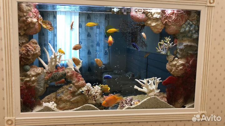 Изготовление аквариумов