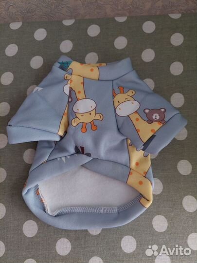 Одежда для животных