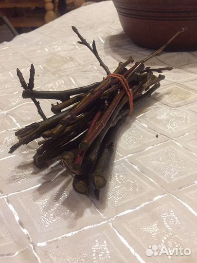 Веточки яблони для грызунов