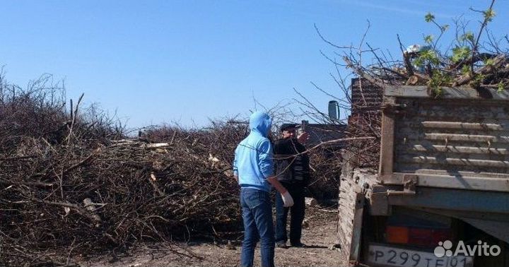 Покос травы триммером, уборка участка
