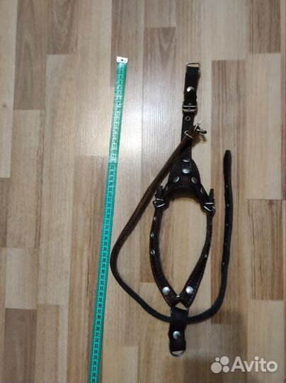 Шлейки, ошейники, поводки