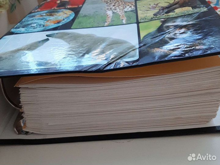 Книги энциклопедии детские