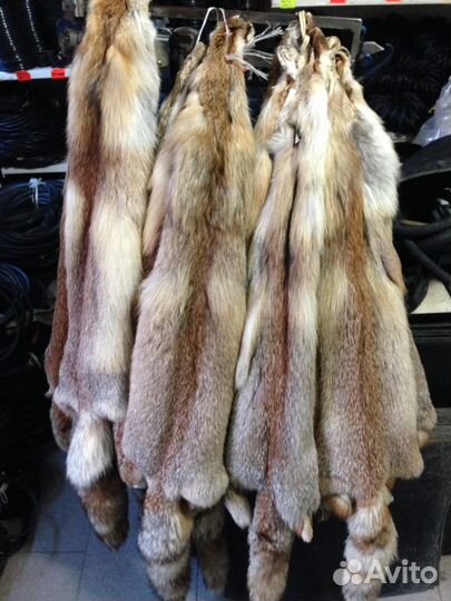 Шкурка животного