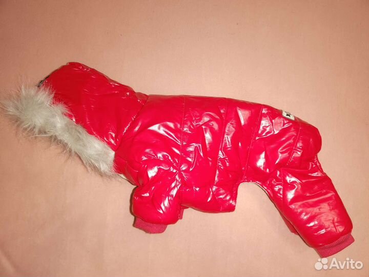 Зимний комбинезон на мелкую собаку
