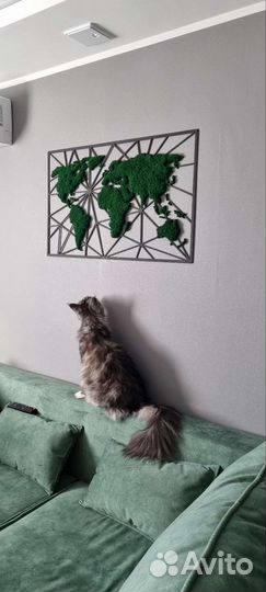 Панно карта мира со стабилизированным мхом