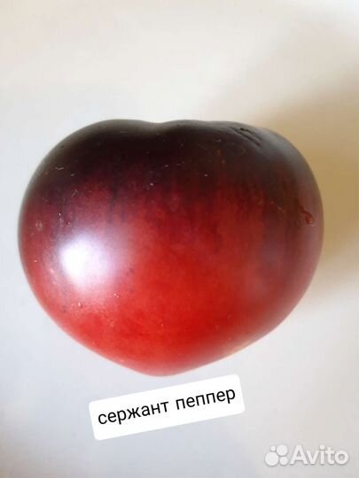 Семена сортовых томатов с антоцианом