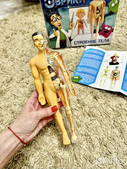 Развивающий набор по анатомии Эврики