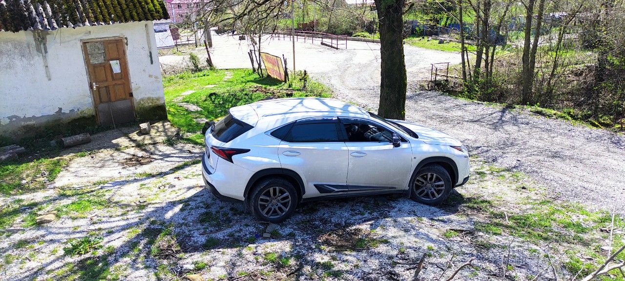 Lexus NX: фото владельца